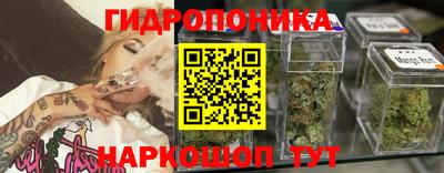 бошки Можга