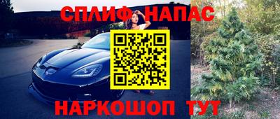 бошки Можга