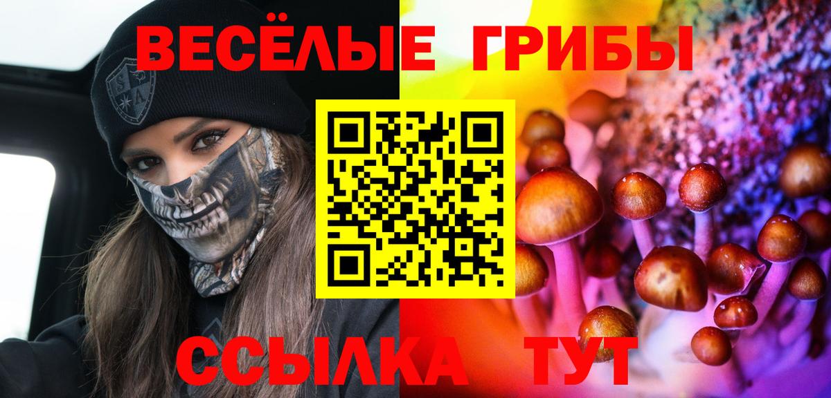 Галлюциногенные грибы мухоморы  Вход с VPN  что такое наркотик  Сухой Лог 